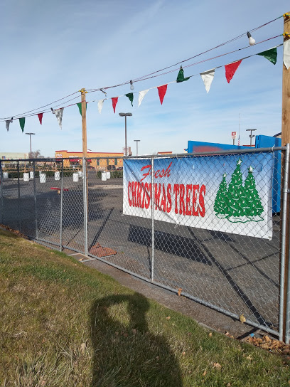 Heritage Christmas trees