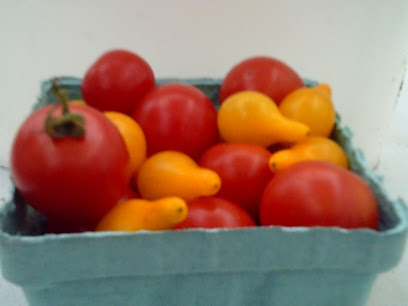 Salem Farms