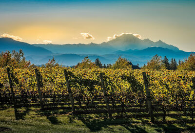Mt Lehman Winery