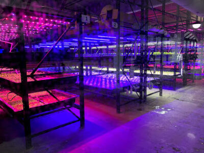 Balance Farms