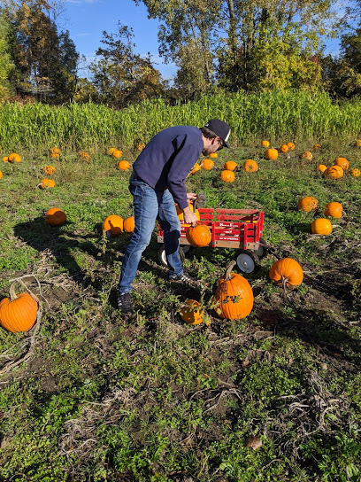 Thread Creek Farm