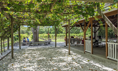 Manasota Vineyards