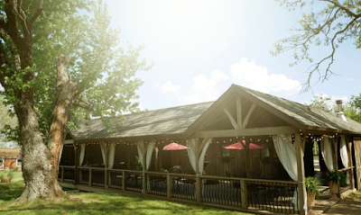 Viandel Vineyard
