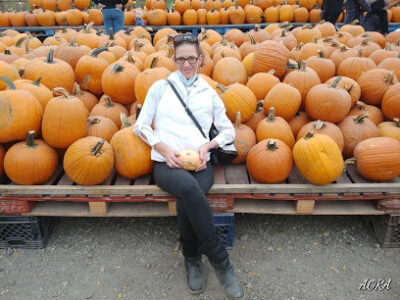 Jerry Smith Produce & Pumpkin Farm