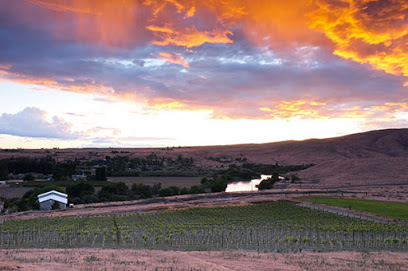 Shackelford Vineyard