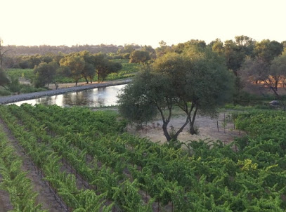 Twin Rocks Estate Winery