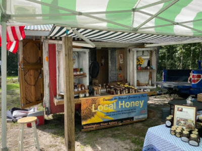 Bloom and Grow open market