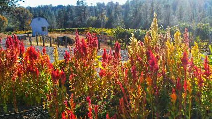 Iverson Vineyards & Winery