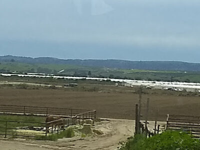Runway Vineyards