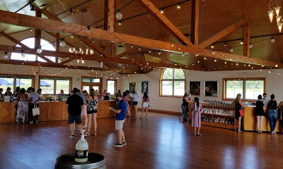 Duck Walk Vineyards