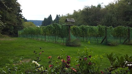 Olalla Vineyard & Winery