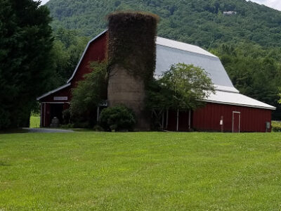 Tiger Mountain Vineyards