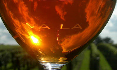 Va La Vineyards