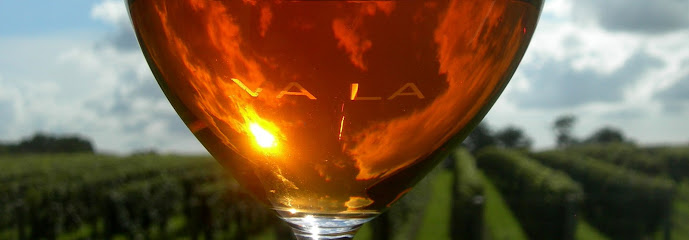 Va La Vineyards