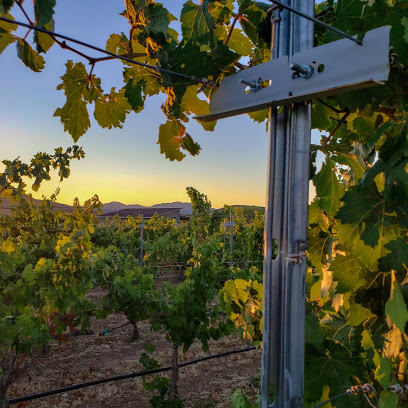 Bold and Delaney Winery