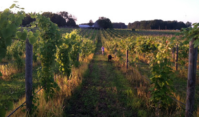 Dulcius Vineyards, LLC