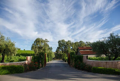 Due Ruscelli Vineyards