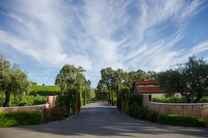 Due Ruscelli Vineyards