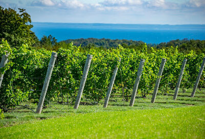 Leelanau Peninsula Wine Trail
