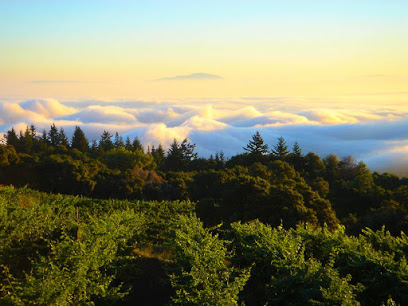 Wines of the Santa Cruz Mountains