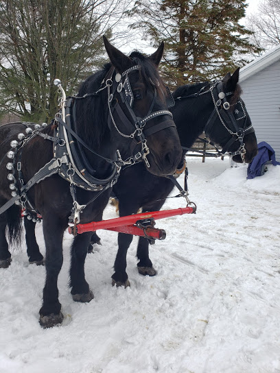 Black Horse Farm