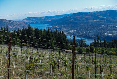 South Hill Winery