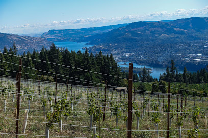 South Hill Winery