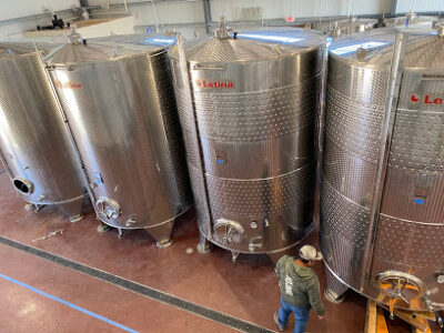 California Wine Classics