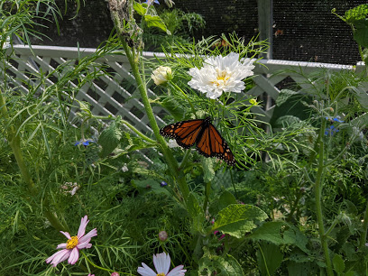 Monarch Winery and Butterfly Box