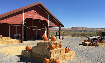 Andelin Family Farm