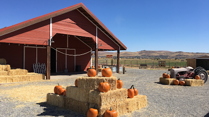 Andelin Family Farm