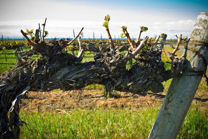 Gamache Vintners