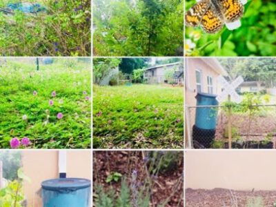 Palm Tree Urban Farm, Nature FUNdamentals LLC