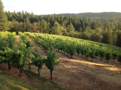 Lightner Vineyards