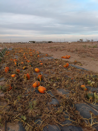 Raine Day Farms