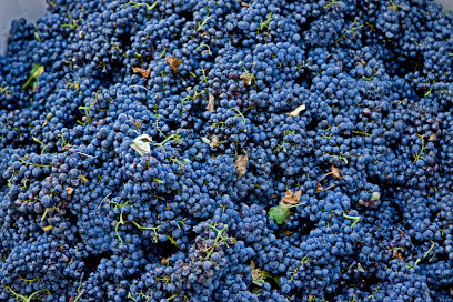Principe di Tricase Winery