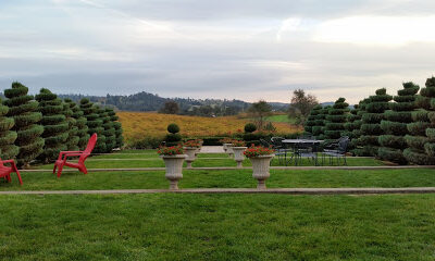 Karmere Vineyards & Winery