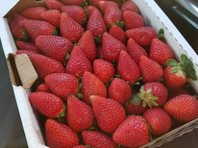 Nicolson's Strawberries