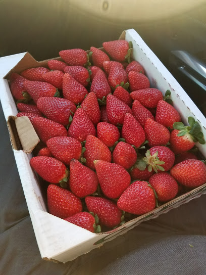 Nicolson's Strawberries