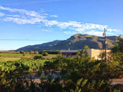Fort Selden Winery