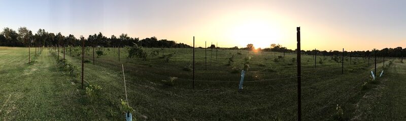 Avian Glen Winery