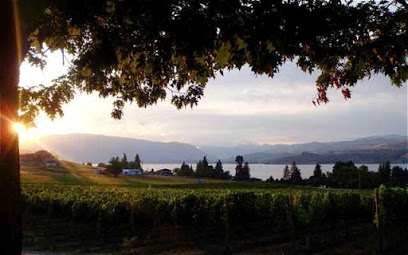 Castle Vineyards & Tunnel Zip Lines