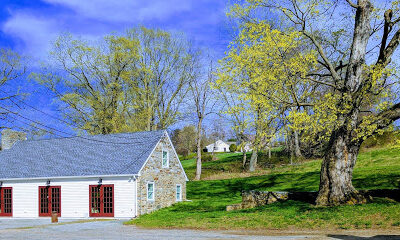 The Vineyard At Hillyland