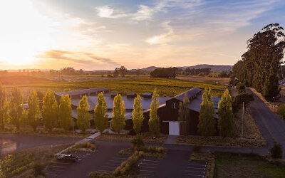 Migration Winery