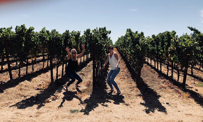 Sonoma WINE TOURS