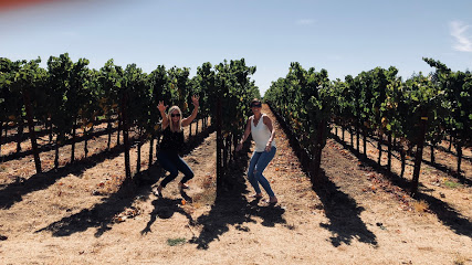 Sonoma WINE TOURS