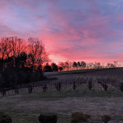 Golden Road Vineyards