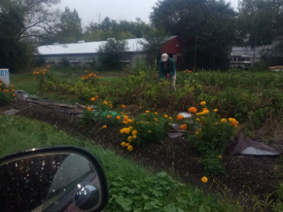Woodchuck Community Farm