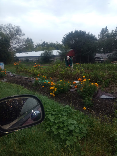 Woodchuck Community Farm