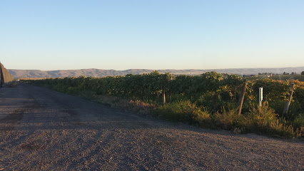 Coventry Vale Vineyards